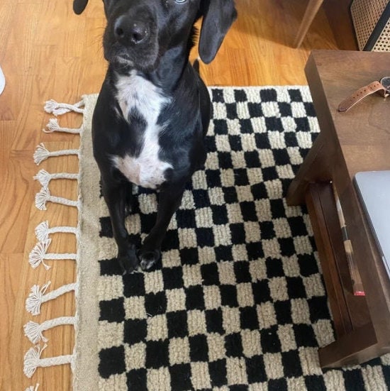 Black dog sitting on a stylish checkered rug in a cozy living room setting.