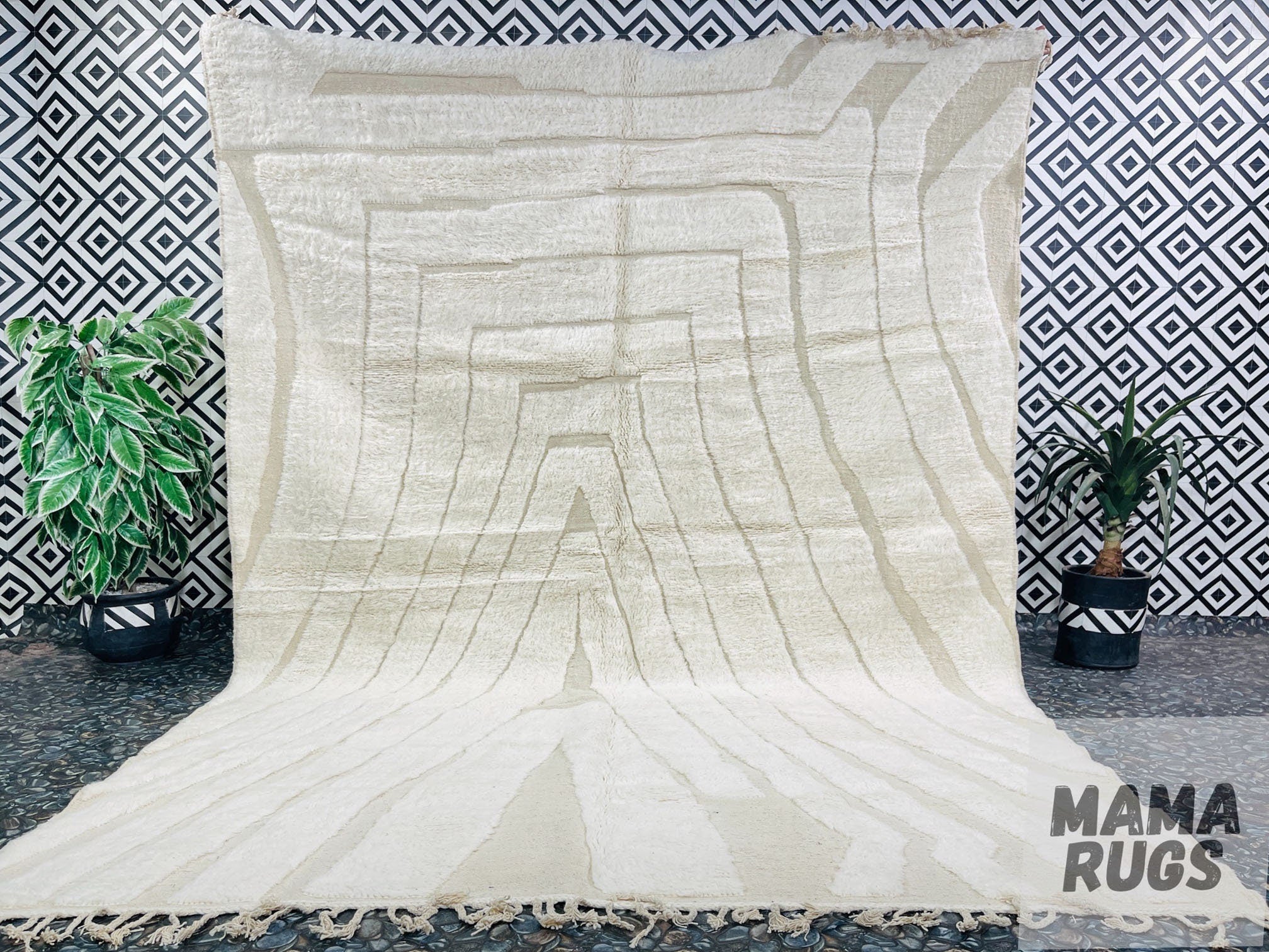 modern cream area rug on patterned backdrop