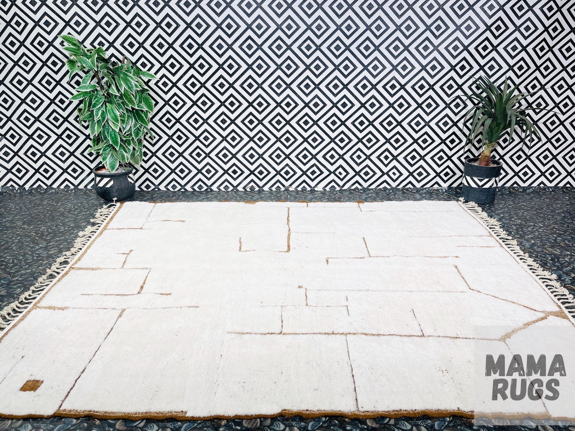 modern geometric rug with plants and texture